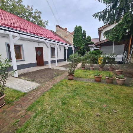Peaceful&Central Apartment With Garden Târgu-Mureş Exterior foto